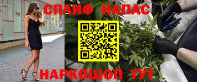 гидропоника Гусь-Хрустальный