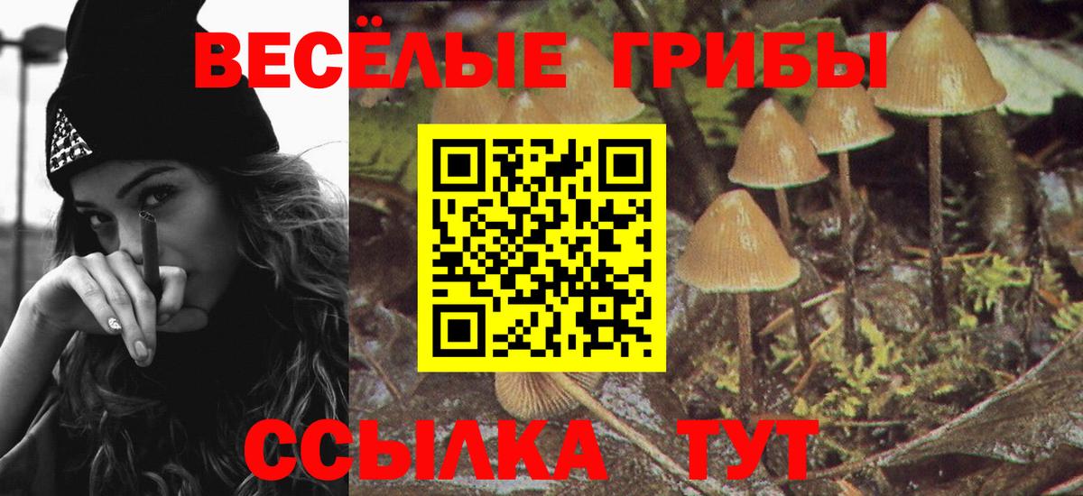 цены   Галлюциногенные грибы GOLDEN TEACHER  Галлюциногенные грибы MAGIC MUSHROOMS  Вход с VPN  Калуга 